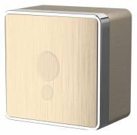 Розетка для вывод кабеля Werkel Gallant (шампань рифленый) W5050210 Gallant (шампань рифленый) фото