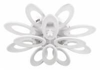 Потолочная люстра Escada Ecla 10238/12LED фото