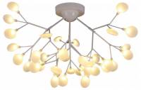 Потолочная люстра EVOLUCE Avola SLE250102-36 фото
