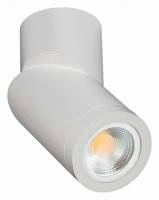 Светильник на штанге ST-Luce ST650 ST650.502.01 фото