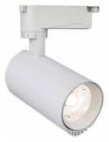 Светильник на штанге Escada 20031 20031TRA/03LED SWH фото