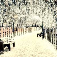 Бахрома световая Arlight Ard Edge Classic 34914 фото