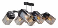 Люстра на штанге Vitaluce  V4895-1/6PL фото