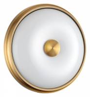 Накладной светильник Odeon Light Pelow 4956/2 фото