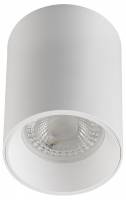 Накладной светильник Denkirs DK3110 DK3110-WH фото