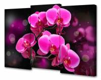 Набор из 3 картин TopLight TL-M TL-M2074 фото