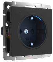 Розетка с заземлением с подсветкой без рамки Werkel черный W1171408 фото