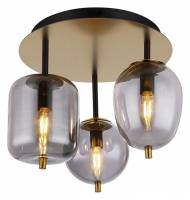 Потолочная люстра Lussole LSP-8730 LSP-8730 фото