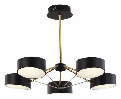 Люстра на штанге EVOLUCE Valle SLE6005-402-05 фото