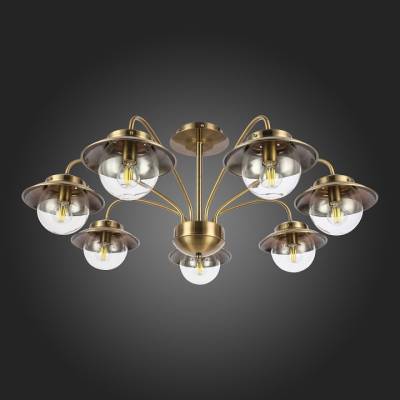 Потолочная люстра EVOLUCE Garonni SLE110102-07 фото