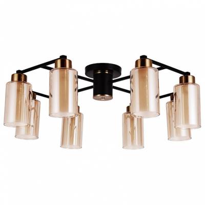 Потолочная люстра Arte Lamp Leo A7027PL-8BK фото