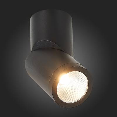 Светильник на штанге ST-Luce ST650 ST650.442.10 фото