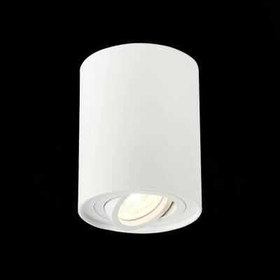 Спот ST-Luce Torus ST108.517.01 фото