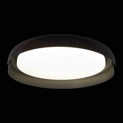 Накладной светильник Loft it Coin 10198 Black фото