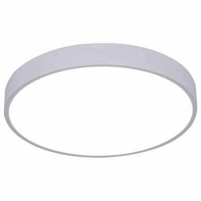 Накладной светильник Arte Lamp Arena A2661PL-1WH