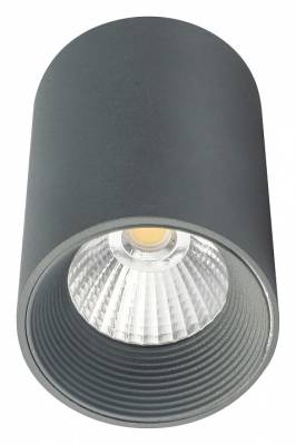 Накладной светильник Escada 20003 20003SMU/01LED SGY фото