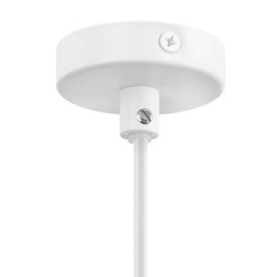 Подвесной светильник Lightstar Loft 765016 фото
