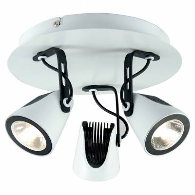 Спот Lussole Merano LSN-4101-03 фото