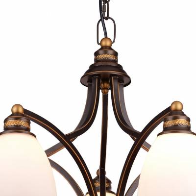 Подвесная люстра Arte Lamp Bonito A9518LM-5BA фото