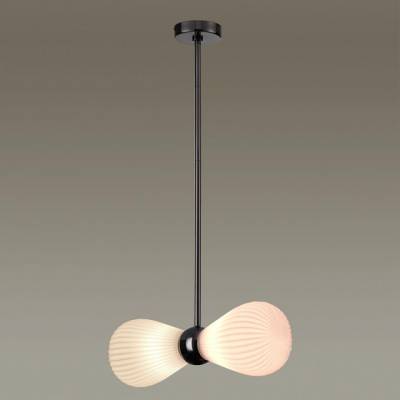 Подвесной светильник Odeon Light Elica 2 5418/2 фото