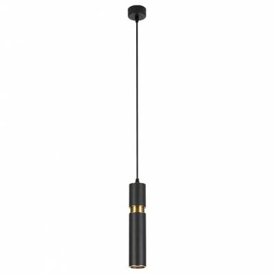 Подвесной светильник Arte Lamp Ran A3145SP-1BK фото