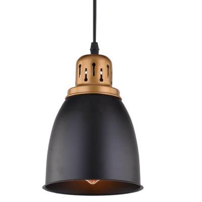Подвесной светильник Arte Lamp Eurica A4248SP-1BK фото