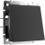 WL08-16-01/Вывод кабеля (черный матовый) фото