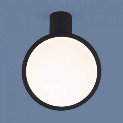 Накладной светильник Elektrostandard DLS029 a047772