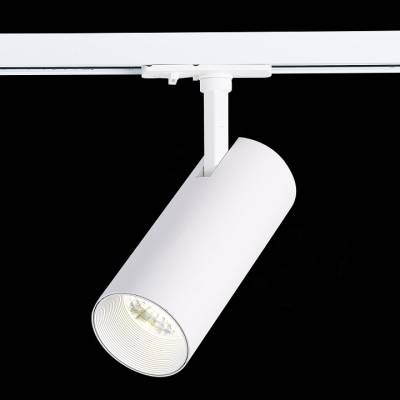 Светильник на штанге ST-Luce Mono ST350.546.20.36 фото