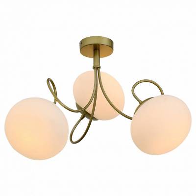 Потолочная люстра ST-Luce Acini SL717.202.03 фото