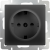 WL08-10-01/ Розетка с заземлением, безвинтовой зажим (черный матовый) фото