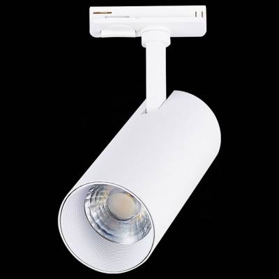 Светильник на штанге ST-Luce Mono ST350.536.20.36 фото