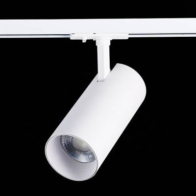 Светильник на штанге ST-Luce Mono ST350.536.30.36 фото