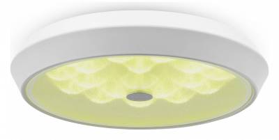 Накладной светильник Freya Cells FR10012CL-L24W фото