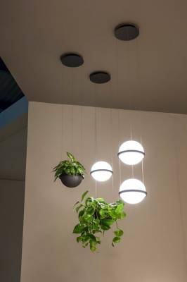 Подвесной светильник Imperiumloft Palma Wall Lamp 22.93727 фото