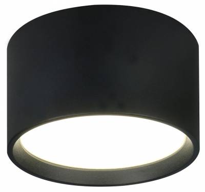 Накладной светильник Escada 20005 20005SMU/01LED SBK фото
