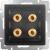 WL08-AUDIOx4 / Акустическая розетка (черный матовый) фото