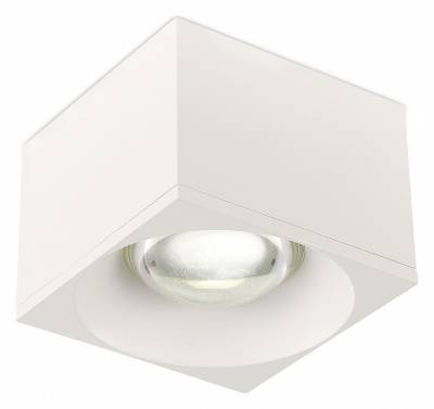 Накладной светильник SIMPLE STORY 2061 2061-LED12CLW фото