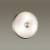 Накладной светильник Odeon Light Pelow 4957/2 в EL DECO Накладной светильник Odeon Light Pelow 4957/2 фото