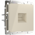 WL03-RJ-45-ivory /Розетка Ethernet RJ-45  (слоновая кость) фото