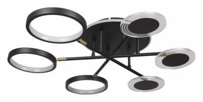 Потолочная люстра Loft it Megan 10164S Black фото