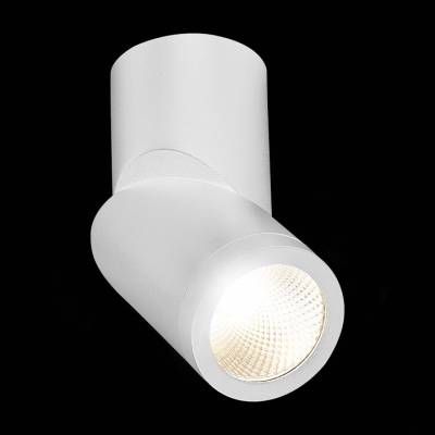 Светильник на штанге ST-Luce ST650 ST650.542.10 фото