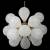 Люстра на штанге Loft it Miracle 10130/18 White в EL DECO Люстра на штанге Loft it Miracle 10130/18 White фото