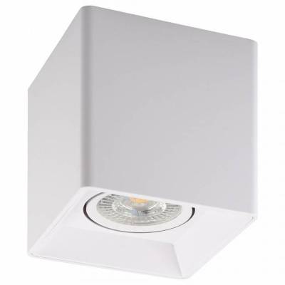 Накладной светильник Denkirs DK3020WW DK3030-WH фото