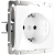 WL01-10-01/ Розетка с заземлением, безвинтовой зажим (белая) фото