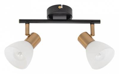 Спот Arte Lamp Falena A3117PL-2BK фото