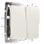 WL13-SW-2G-2W / Выключатель двухклавишный проходной (перламутровый рифленый) фото