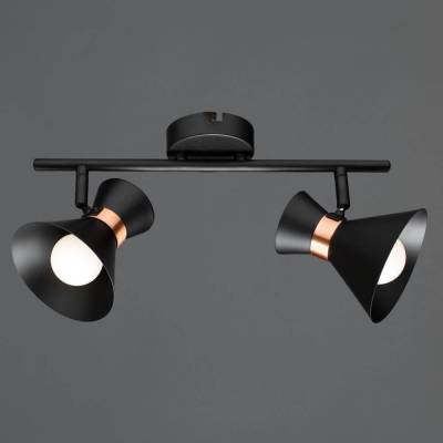 Спот Arte Lamp Baltimore A1406AP-2BK фото