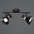 Спот Arte Lamp Baltimore A1406AP-2BK фото