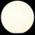Шар световой Maytoni Erda O594FL-01W фото